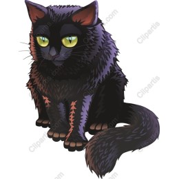 Black Cat
