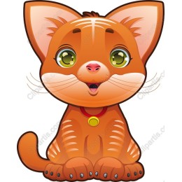Adorable Orange Cat