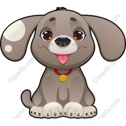 Cute Puppy