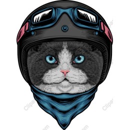 Cool Cat Biker