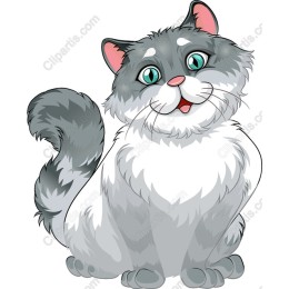 Charming Fluffy Gray Cat