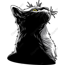 Majestic Cat Profile