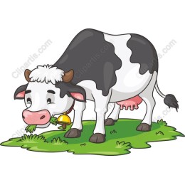 Playful Cow