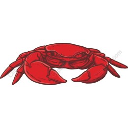 Vibrant Red Crab