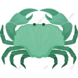 Vibrant Green Crab