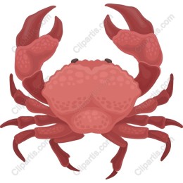Vibrant Crab