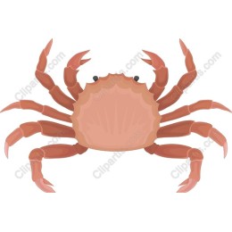 Crab - Premium