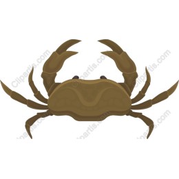Crab