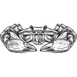 Intricate Crab