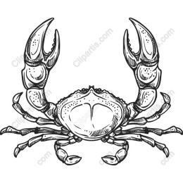 Intricate Crab