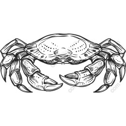 Vintage Crab