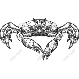 Intricate Crab