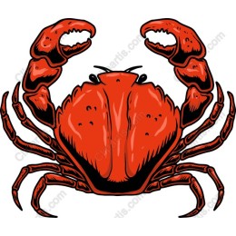 Vibrant Red Crab