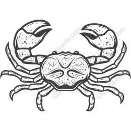 Crab