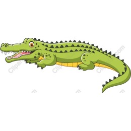 Colorful Cartoon Crocodile