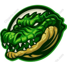 Crocodile Fury