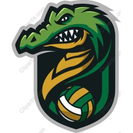 Fierce Alligator