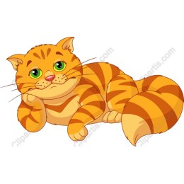 Playful Orange Tabby Cat