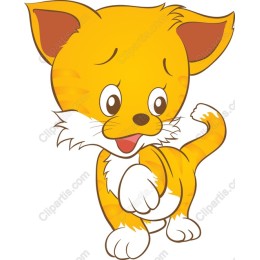 Playful Orange Cat