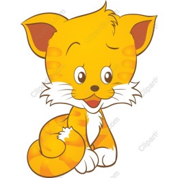 Playful Orange Kitten