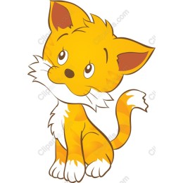 Cute Orange Kitten