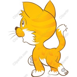 Adorable Orange Kitten