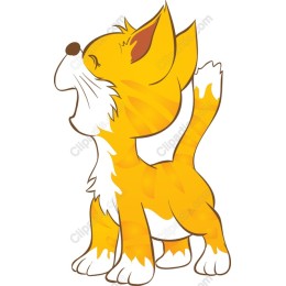Playful Orange Cat