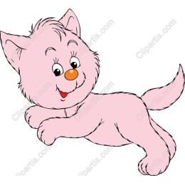 Playful Pink Kitten
