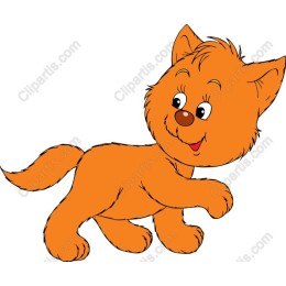 Charming Orange Kitten