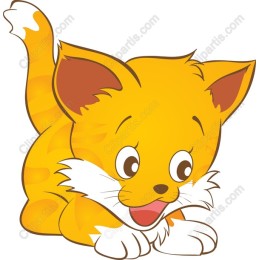 Playful Orange Kitten