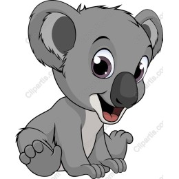 Playful Koala