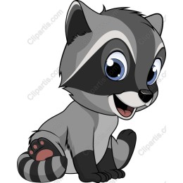 Playful Raccoon