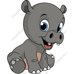 Cute Baby Hippo