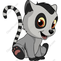 Playful Lemur