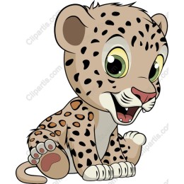 Playful Baby Leopard