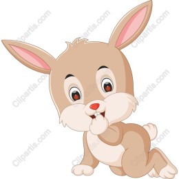 Cute Bunny
