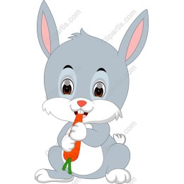 Sunny Bunny