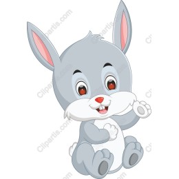 Adorable Gray Rabbit