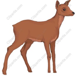 Charming Deer