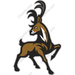 Majestic Stag