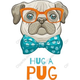 Hug a Pug