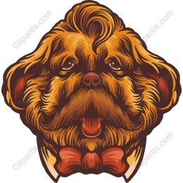 Quirky Dog