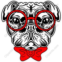 Playful Pug with Glasses