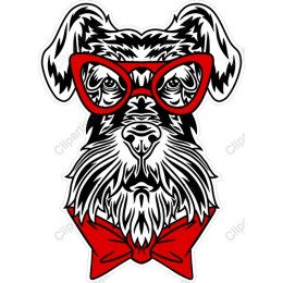 Charming Schnauzer