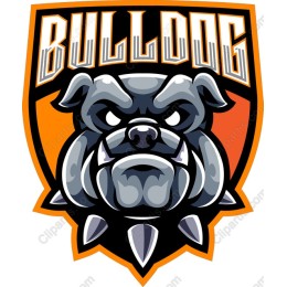 Fierce Bulldog