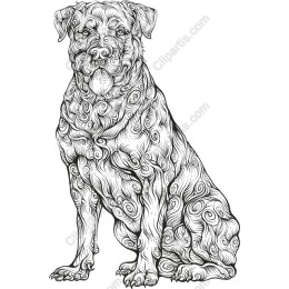 Majestic Dog