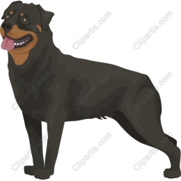 Rottweiler work: