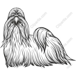 Charming Dog
