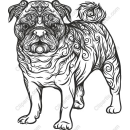 Charming Pug