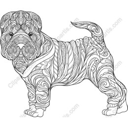 Charming Shar Pei